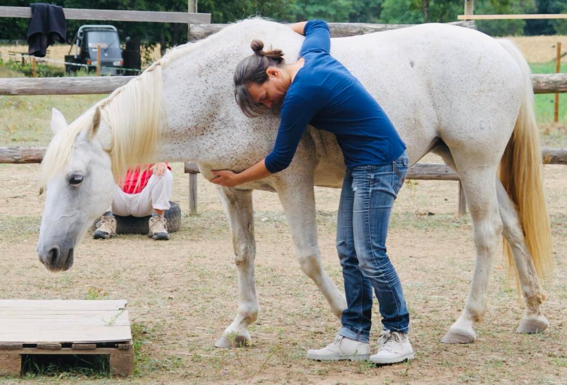 communicante animalière avec un cheval