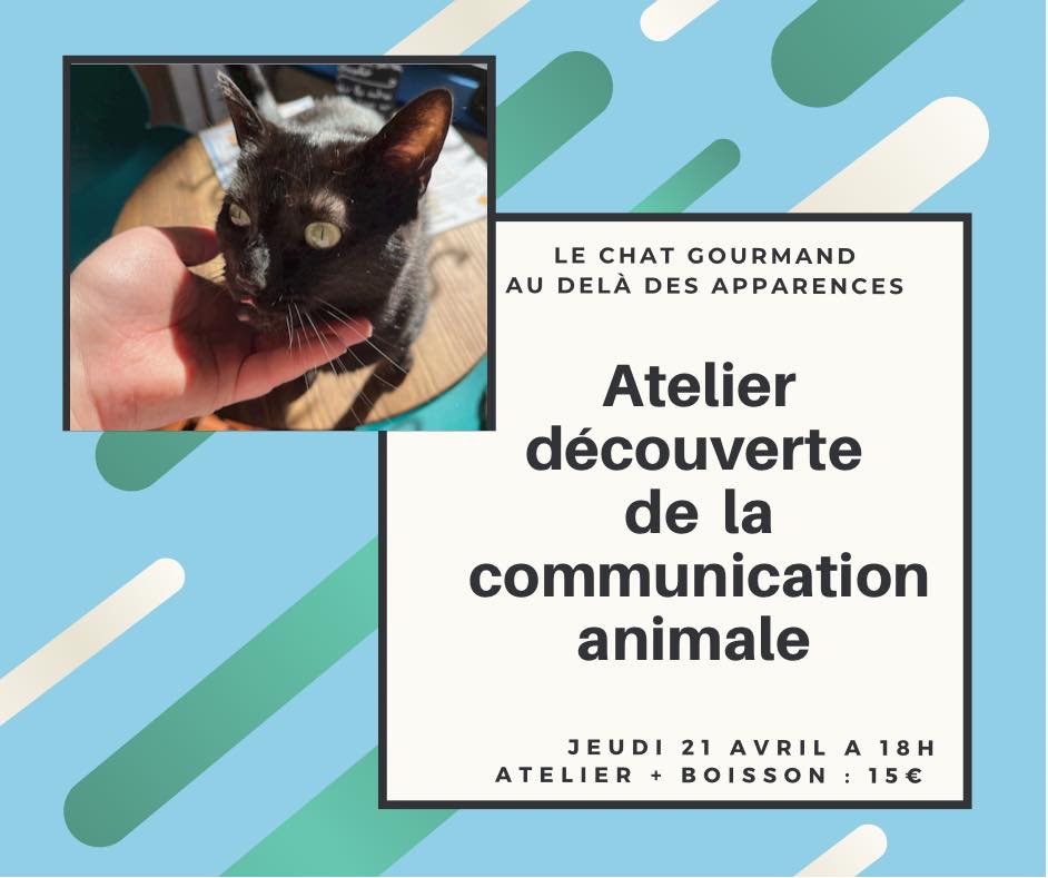 Atelier découverte communication animale