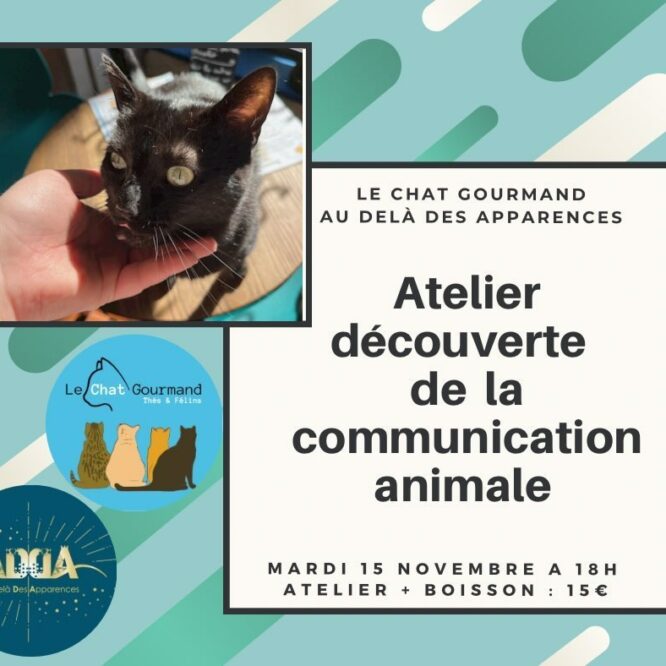découvrir la communication animale