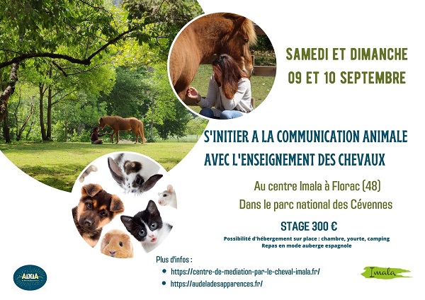 Se former en communication animale avec l'enseignement des chevaux les 09 et 10 septembre 2023