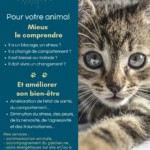 communication animale soins énergétiques