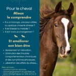communication animale soins énergétiques chevaux