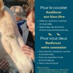communication animale soins énergétiques chevaux cavalier·ière